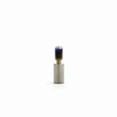 Raise3D Pro2 Throat tube